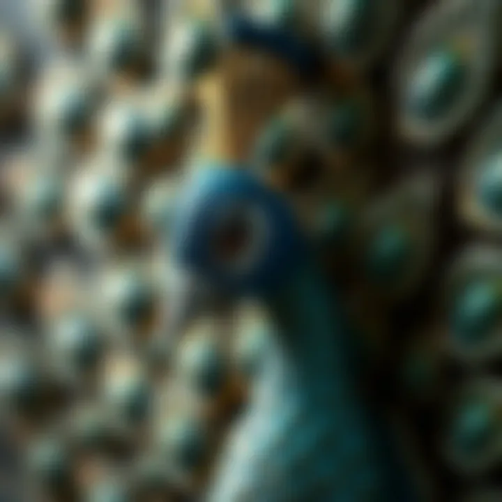 Textured Details of 3D Peacock Artwork Close-up of textured 3D peacock wall art