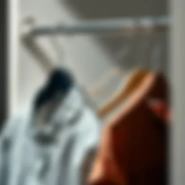 Magnificent The Versatility and Utility of Multi-Function Hangers Magnificent The Versatility and Utility of Multi-Function Hangers