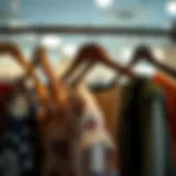 A Comprehensive Guide to Hangers for Shorts and Skirts Introduction