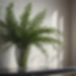 Elegant display of artificial ruscus stems in a modern interior