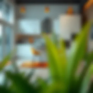 Chic Design with Animal Print Rugs Stylish kitchen featuring vibrant animal print rug