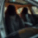 Comprehensive Guide to Furry Seat Covers for Cars Introduction