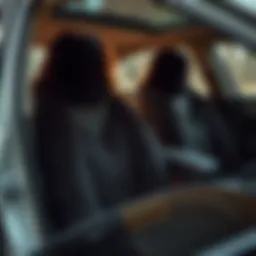 Comprehensive Guide to Furry Seat Covers for Cars Introduction