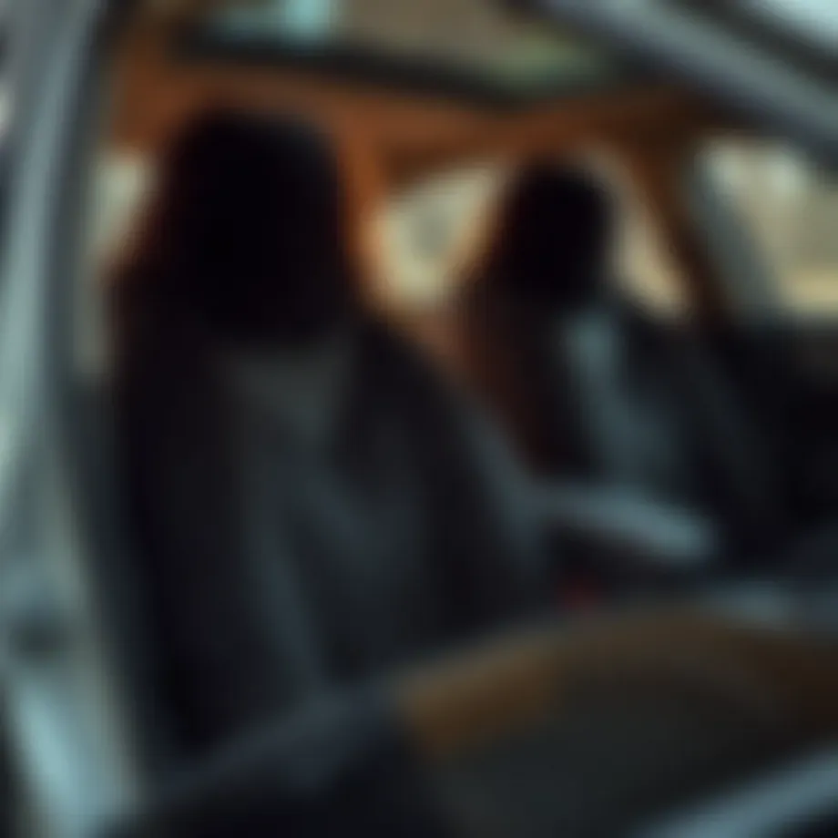 Comprehensive Guide to Furry Seat Covers for Cars Introduction