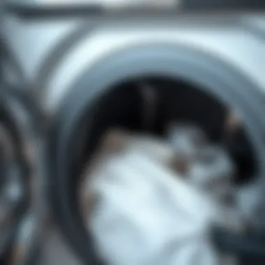 The Importance of a Clean Lint Trap Close-up of a clean dryer lint trap