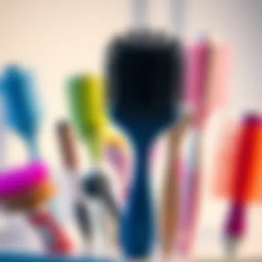 Diverse Cleaning Brushes for Optimal Maintenance Various types of cleaning brushes for lint traps