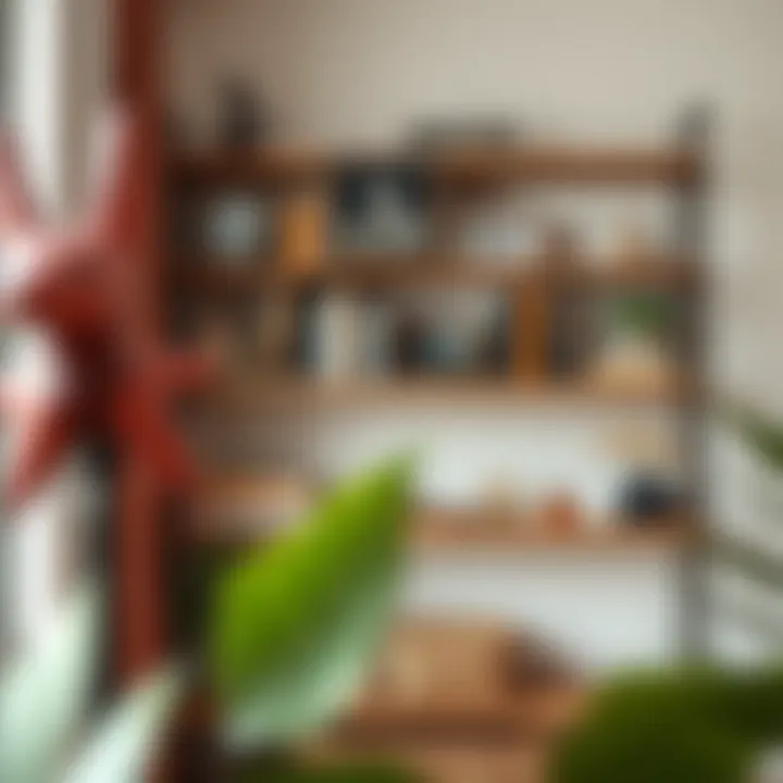 Notable Exploring Aesthetic Shelf Decor: A Comprehensive Guide