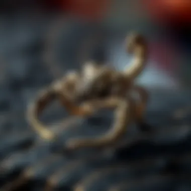 Historical Significance of Scorpion Motifs Historical context of scorpion motifs in jewelry