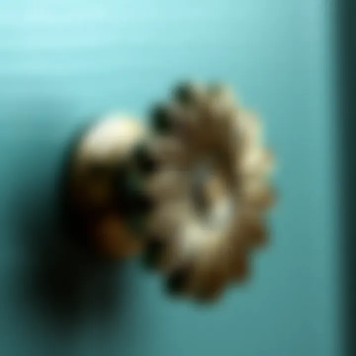 Close-up of daisy dresser knob showcasing intricate design