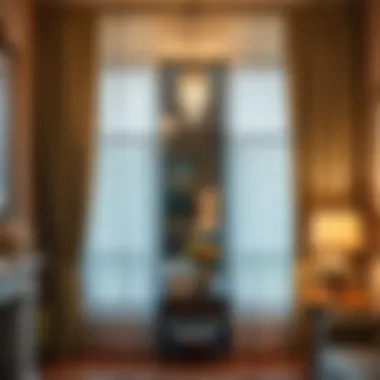 Exploring Decorative Window Curtains: A Comprehensive Guide Summary