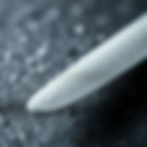 Close-up of a diamond emery board showcasing its texture and finish