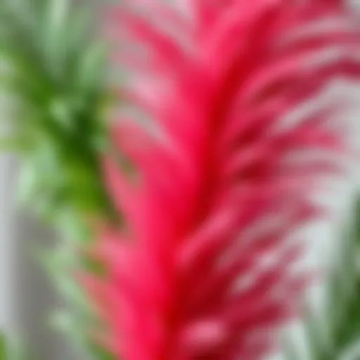 A close-up view of a vibrant fake feather plant showcasing its intricate details and textures.