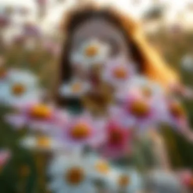 Notable Exploring Faux Daisies: A Comprehensive Guide