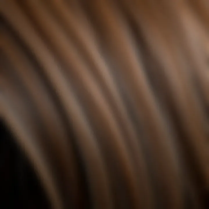 Textures and Tones of Ombre Brown Close-up of ombre brown hair texture and color gradient