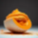Exploring Orange Glitter Dip Powder: A Comprehensive Guide Introduction