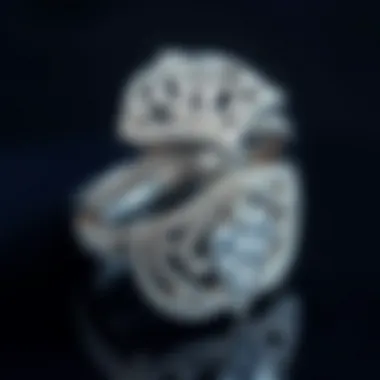 Close-Up of Intricate S925 Ring Designs Close-up view of intricate S925 ring designs