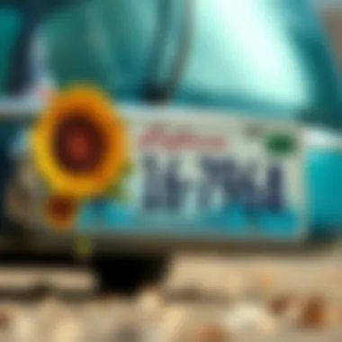 Exploring Sunflower License Plate Frames: A Comprehensive Overview Summary