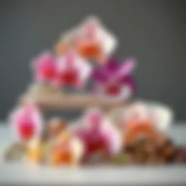 Stylish arrangement of various orchid hair clips in different designs