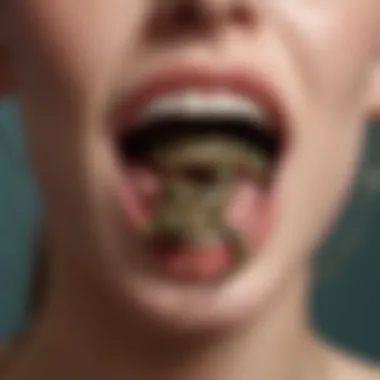 Cultural Significance of Snake Bite Piercings Artistic representation of snake bite piercings in a cultural context
