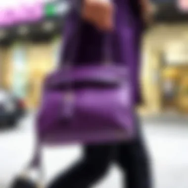 Exploring the Allure of the Small Purple Handbag Summary Exploring the Allure of the Small Purple Handbag Summary