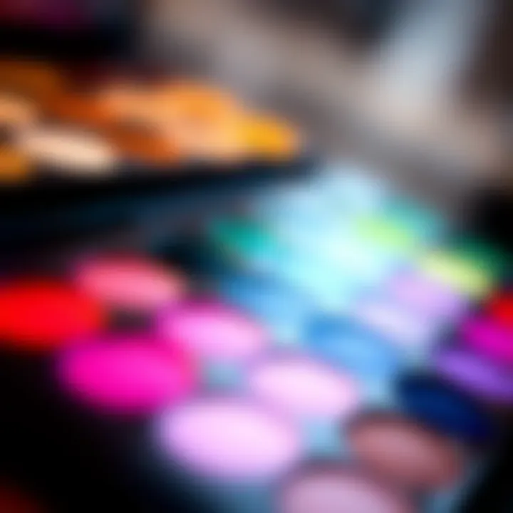 Color Palette for Lashes A color palette illustrating the variety of shades available for lashes