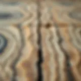 Intricate Wood Grain Textures A close-up view of a wood grain area rug showcasing intricate patterns and textures.