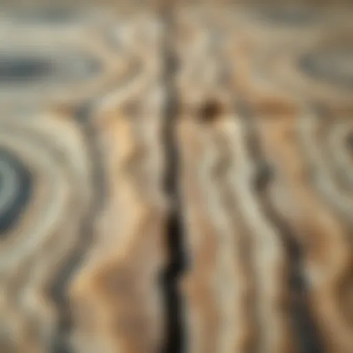 Intricate Wood Grain Textures A close-up view of a wood grain area rug showcasing intricate patterns and textures.