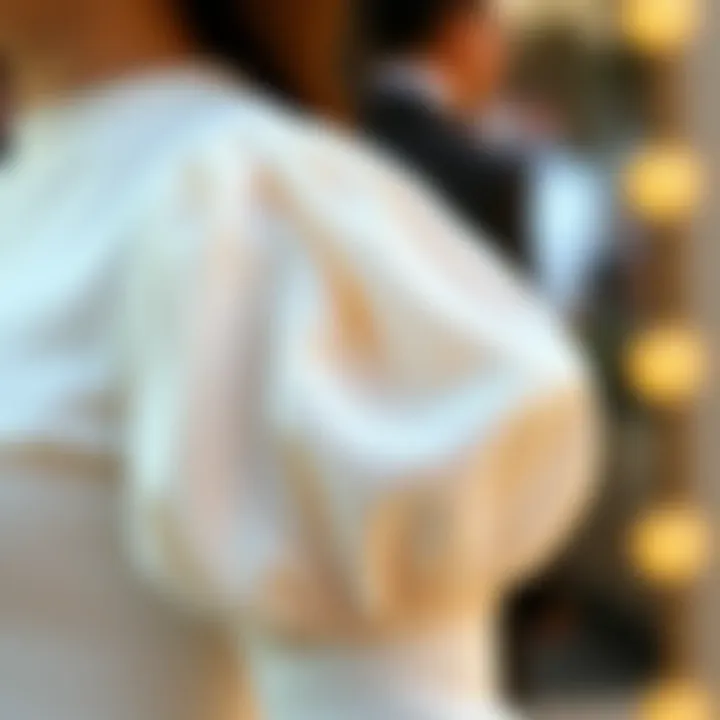 Close-up of intricate puff sleeve detailing