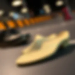 Exploring the Science and Benefits of Moisture Absorbing Insoles Introduction