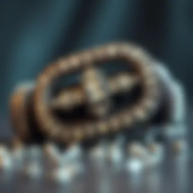 A close-up view highlighting the materials used in rhinestone belts