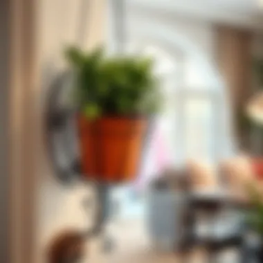 Unique Wrought Iron Planter in Indoor Setting Unique design of a wrought iron wall planter in a cozy indoor setting