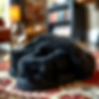 Stylish Faux Fur Slide Slippers Stylish faux fur slide slippers displayed on a chic rug