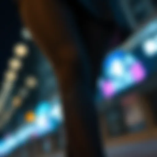 Lace Trim Leggings: A Comprehensive Exploration Introduction