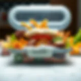 Artfully arranged layered lunch box filled with diverse food options