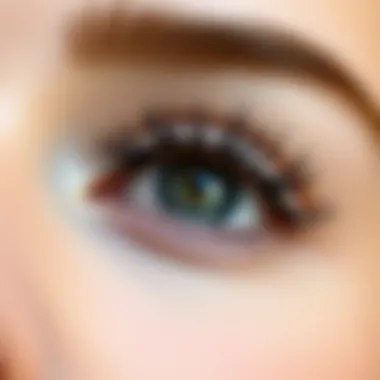 Magnetic Natural Looking Eyelashes: A Detailed Exploration Introduction Magnetic Natural Looking Eyelashes: A Detailed Exploration Introduction
