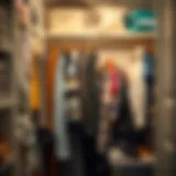 Organized closet space with vacuum-sealed bags