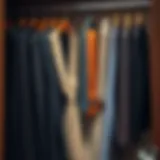 Optimizing Space: The Tie and Belt Closet Organizer Introduction