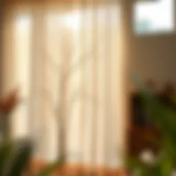 Elegant sheer curtain featuring a delicate tree pattern in a sunlit room