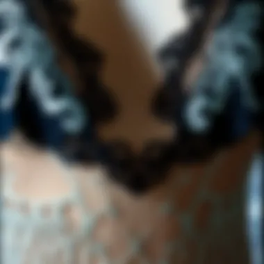 Intricate Lace Patterns in Sheer Mesh Close-up of intricate lace patterns on sheer mesh fabric