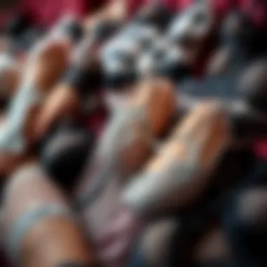 A Collection of Sheer Mesh Lingerie Designs A stylish arrangement showcasing various sheer mesh lingerie designs