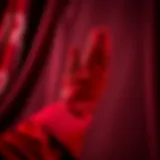 Elegant red formal gloves displayed on a velvet background