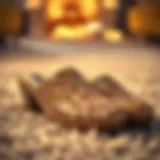 Elegant sequinned slippers displayed on a plush carpet.