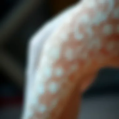 Texture Details of White Lacy Tights Close-up of the fabric texture of white lacy tights