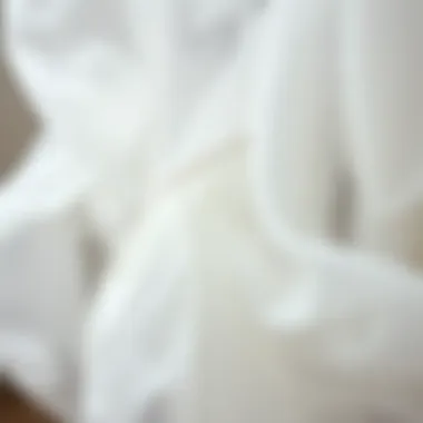 Intricate Textures of Sheer Close-up of intricate white sheer textile patterns