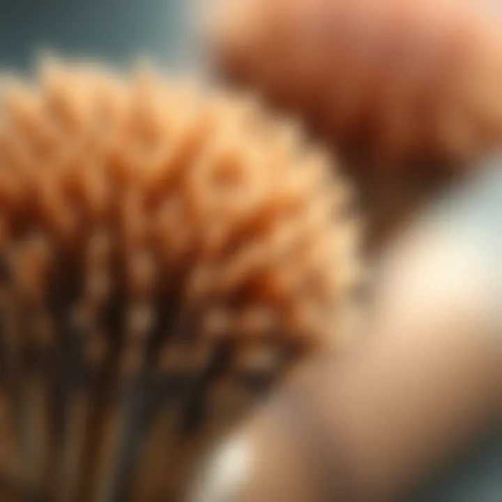 Brush Bristles and Their Textures Close-up of brush bristles demonstrating texture