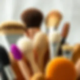 Variety of facial exfoliating brushes arranged