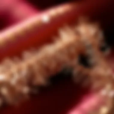 Glistening Tinsel Strands in Fabric Glistening tinsel strands woven into luxurious fabric