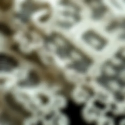 An exquisite display of Y knot lace showcasing intricate patterns and designs.