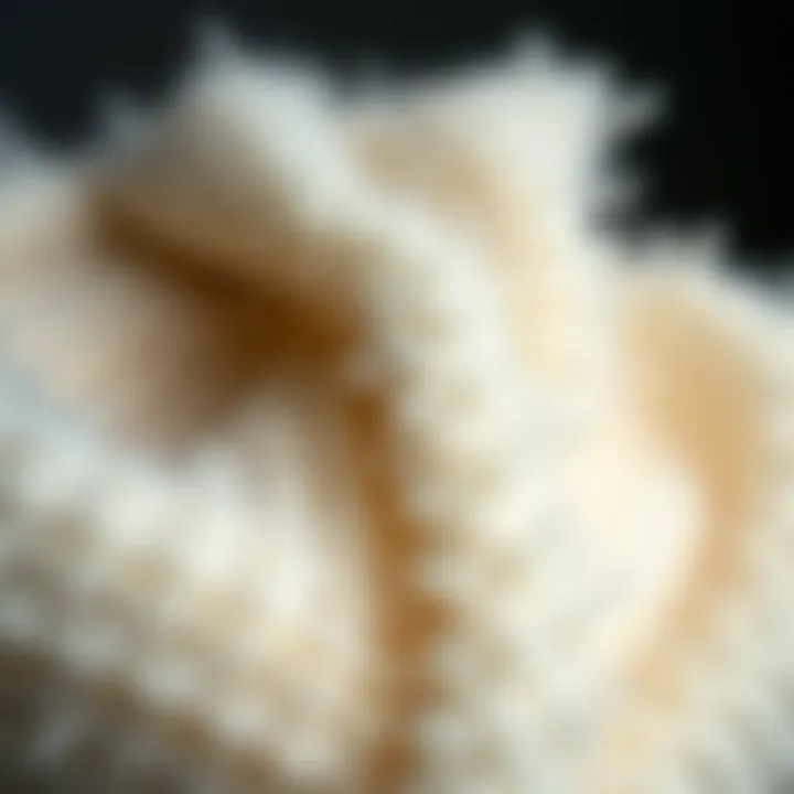 Textural Beauty: The Fabric of the Shawl Close-up of white fuzzy shawl fabric texture