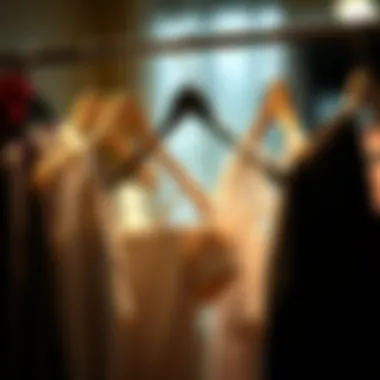 The Essential Guide to Skirt Clothes Hangers Summary The Essential Guide to Skirt Clothes Hangers Summary